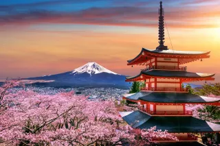 Kyoto Cultural